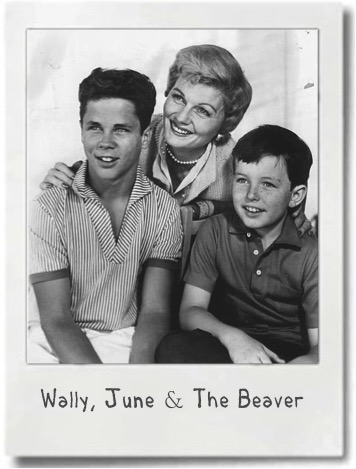 We all can't be The Beaver's Mom.
